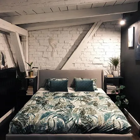 Loft 80m2 W Sercu Miasta 公寓